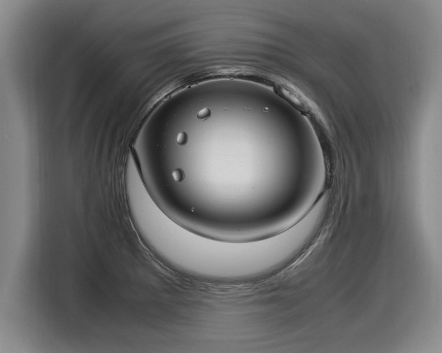 X0000116061281200911271235