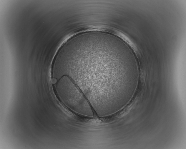 X0000116061283200911271235
