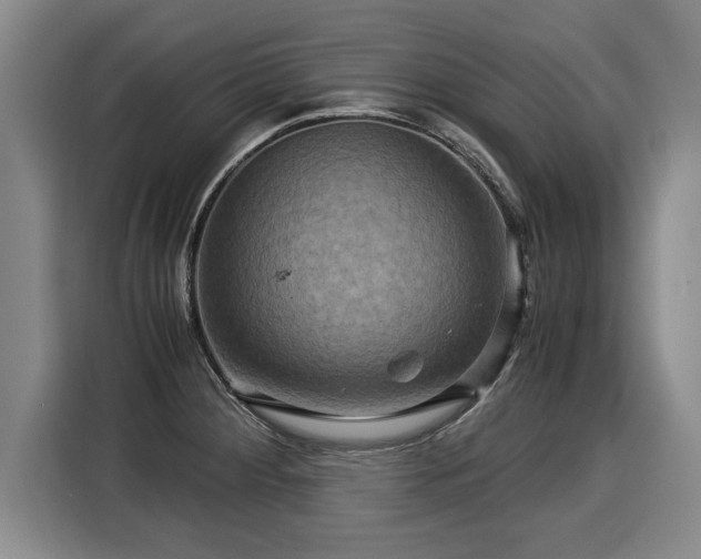 X0000116061284200911271235