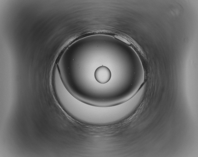 X0000116061285200911271235