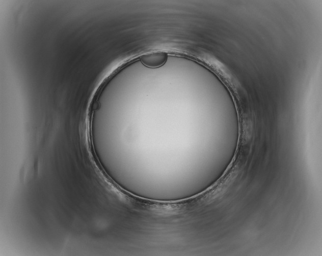 X0000116061286200911271235