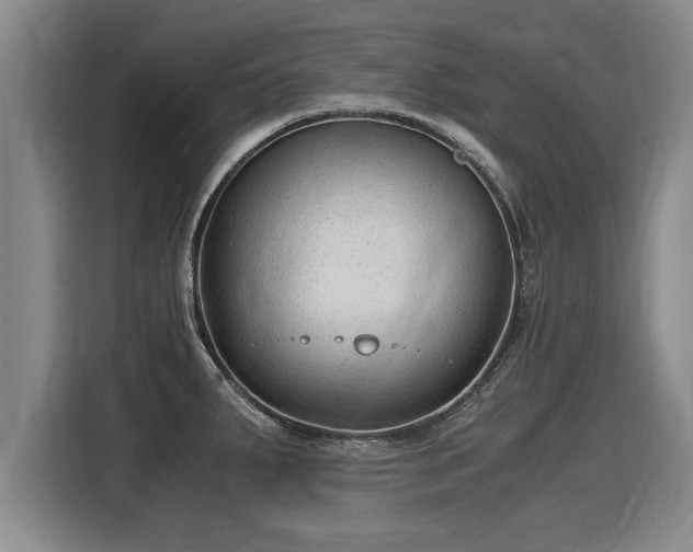 X0000116061287200911271235