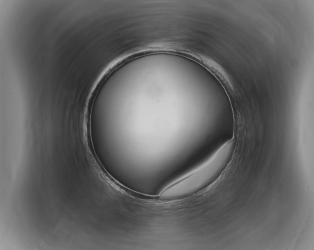 X0000116061288200911271235