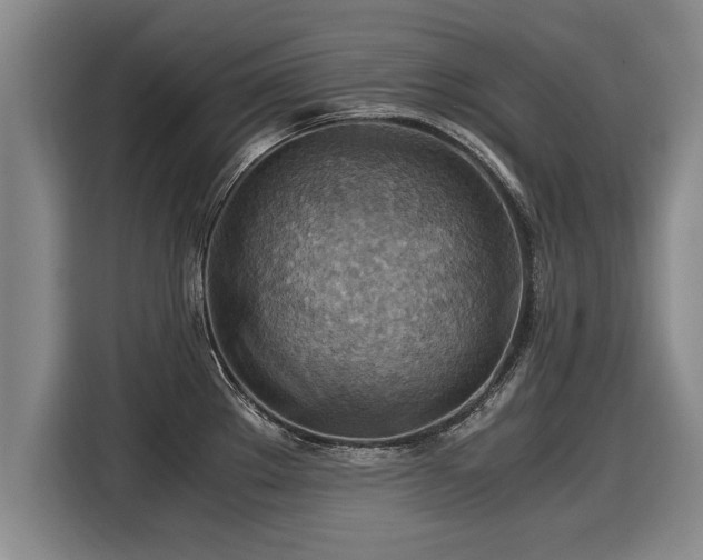 X0000116061289200911271235