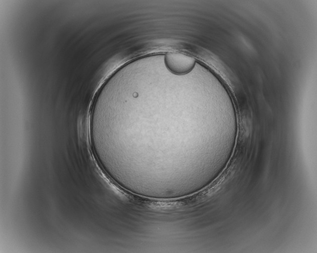 X0000116061290200911271235
