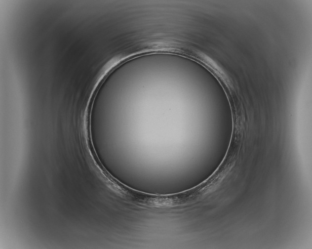 X0000116061291200911271235