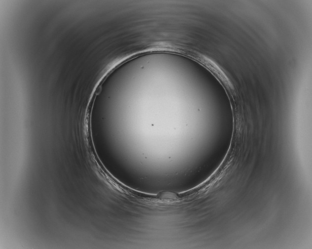 X0000116061292200911271235