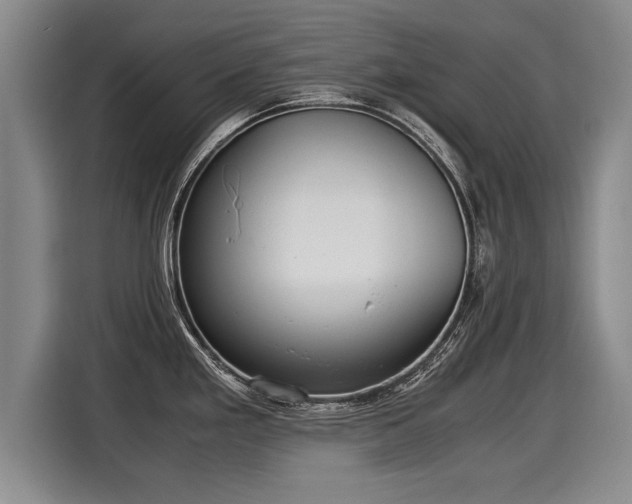 X0000116061293200911271235