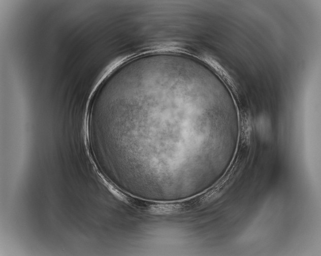 X0000116061294200911271235