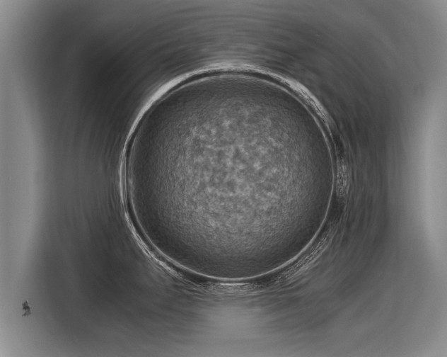 X0000116061295200911271235