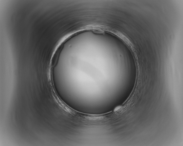 X0000116061296200911271235