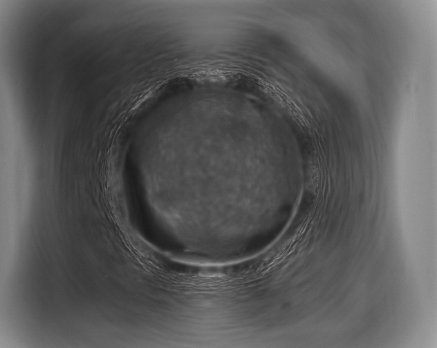 X0000116061297200911271234