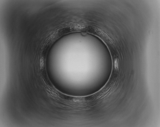 X0000116061299200911271234