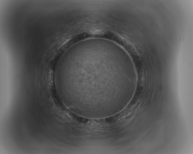 X0000116061301200911271234