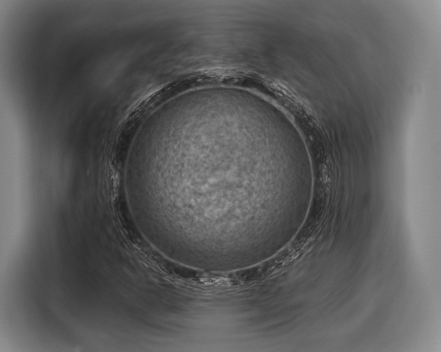 X0000116061302200911271234