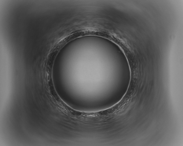 X0000116061303200911271234