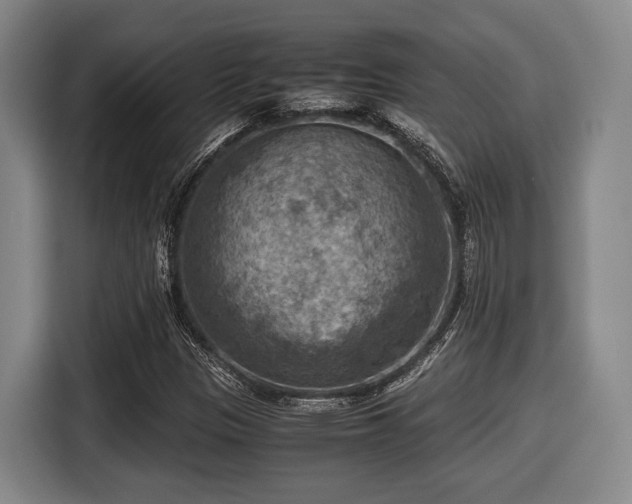 X0000116061305200911271234