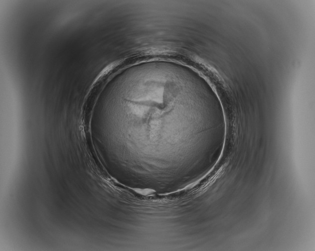 X0000116061306200911271234