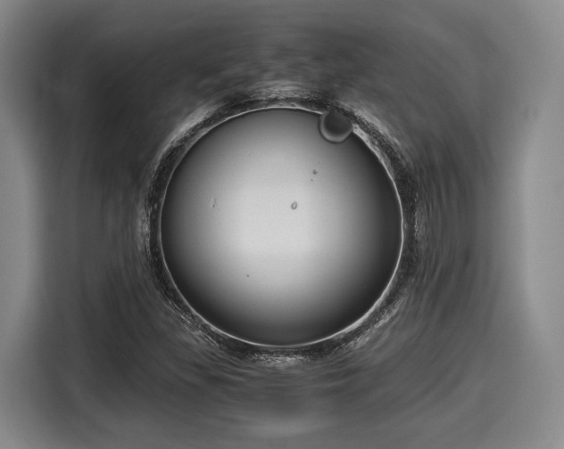 X0000116061309200911271234