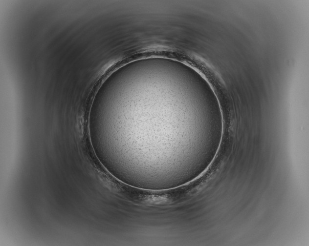 X0000116061313200911271234