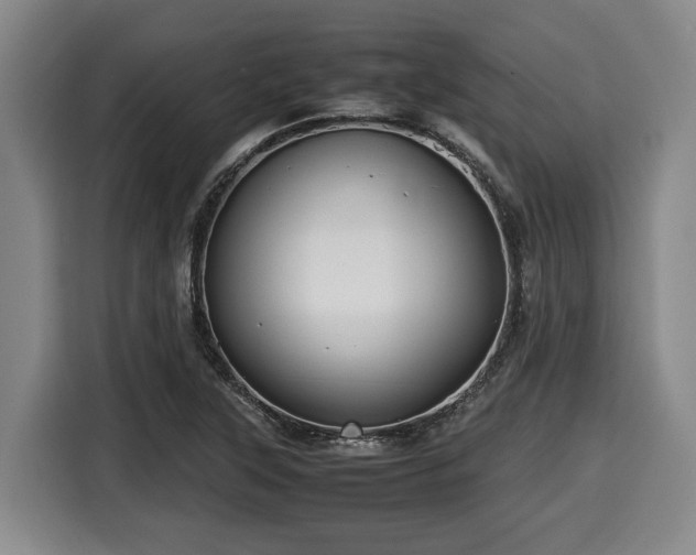 X0000116061315200911271234