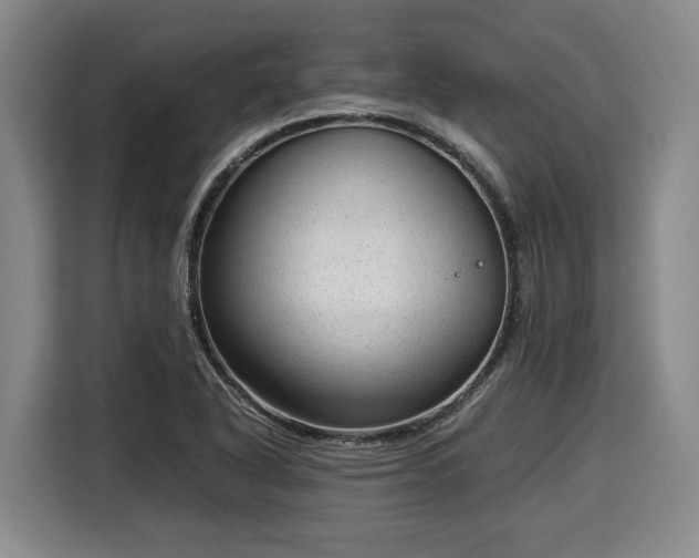 X0000116061318200911271234