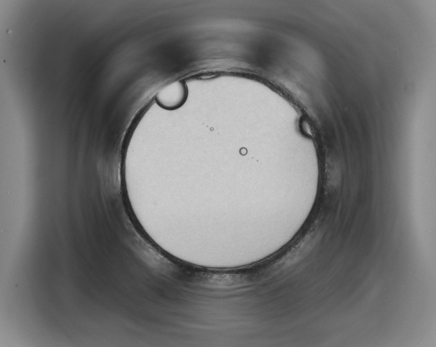 X0000116061322200911271234