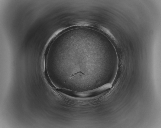 X0000116061323200911271234