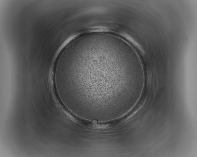 X0000116061325200911271234