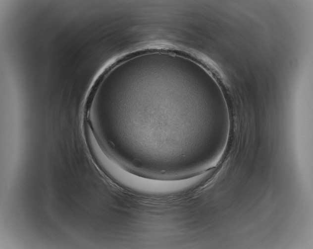 X0000116061326200911271234