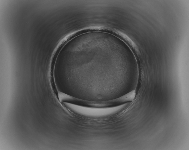 X0000116061327200911271234