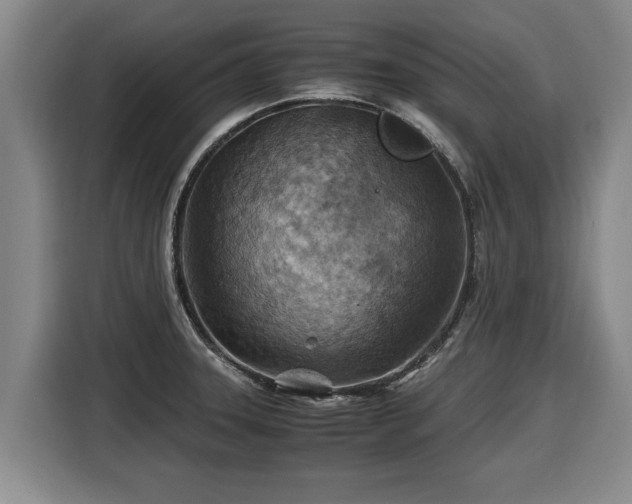 X0000116061331200911271234