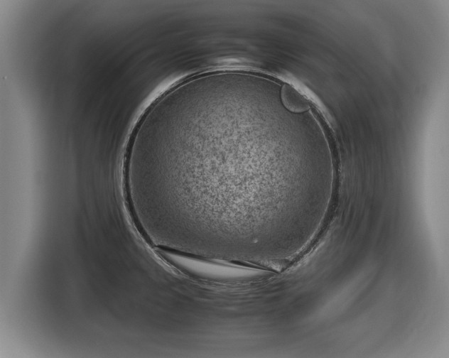 X0000116061333200911271234
