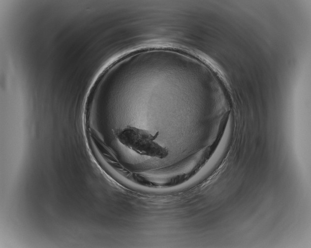 X0000116061334200911271235