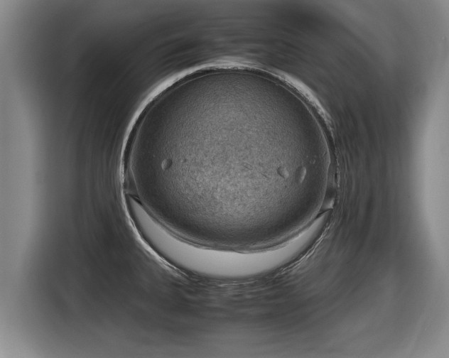 X0000116061335200911271235