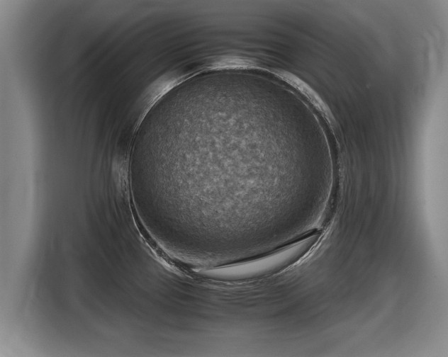 X0000116061337200911271235