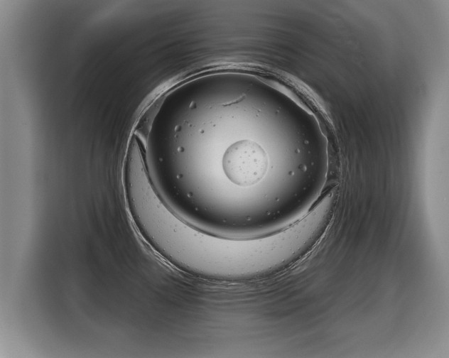 X0000116061338200911271235