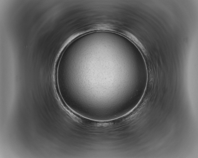 X0000116061339200911271235
