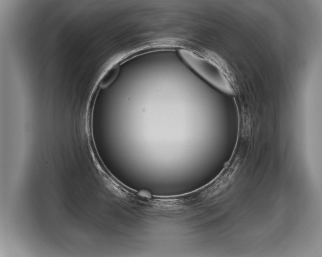 X0000116061342200911271235