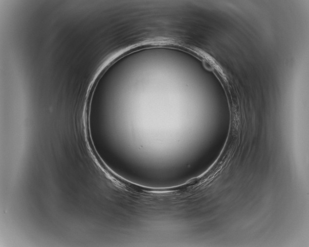 X0000116061343200911271235