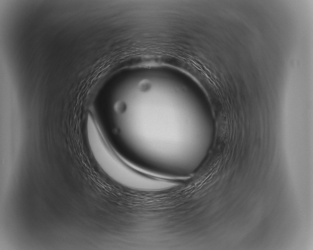 X0000116061345200911271234