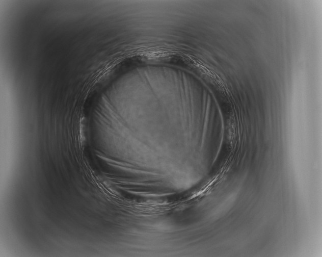 X0000116061346200911271234