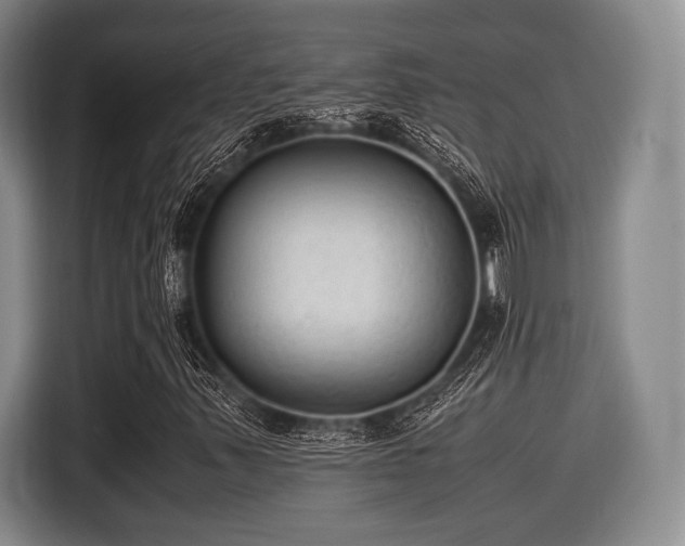 X0000116061347200911271234