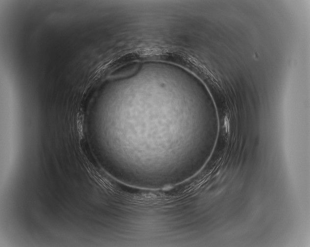 X0000116061348200911271234