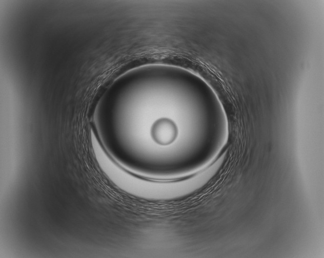 X0000116061349200911271234