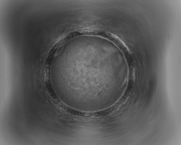 X0000116061350200911271234