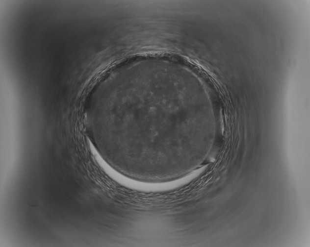 X0000116061351200911271234