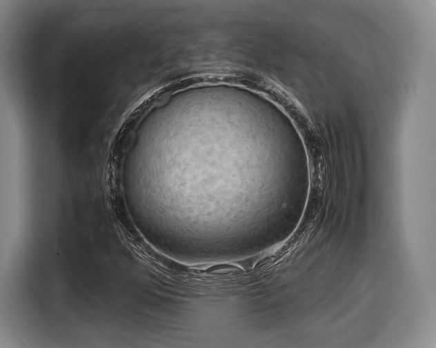 X0000116061352200911271234