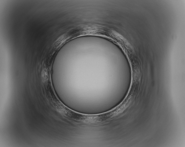 X0000116061353200911271234