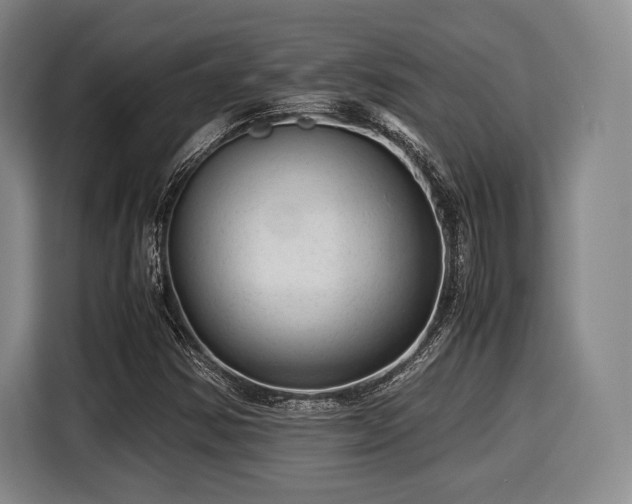 X0000116061354200911271234